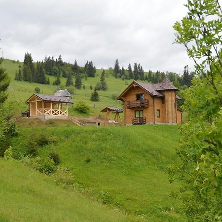 Пагорб Їжака / Hedgehog Hill Villa Jablunytsja Exteriör bild