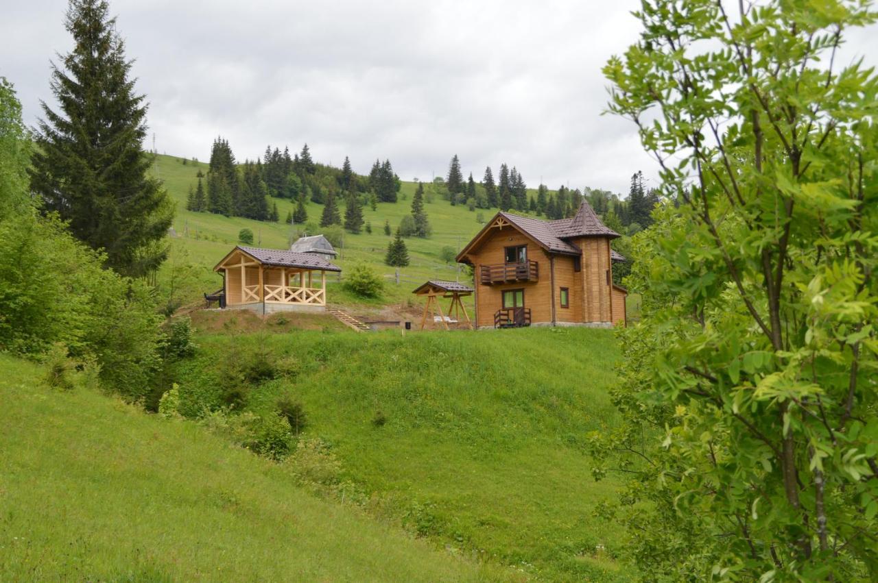 Пагорб Їжака / Hedgehog Hill Villa Jablunytsja Exteriör bild