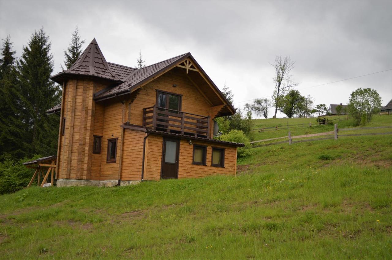 Пагорб Їжака / Hedgehog Hill Villa Jablunytsja Exteriör bild