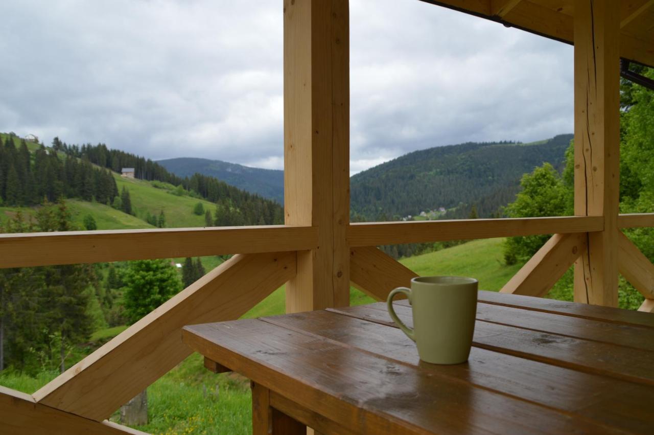 Пагорб Їжака / Hedgehog Hill Villa Jablunytsja Exteriör bild