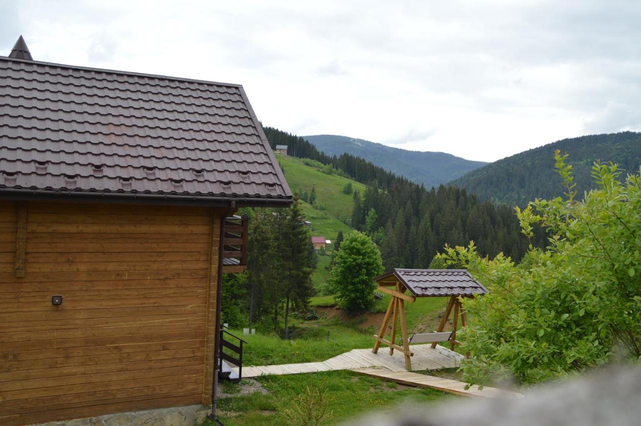 Пагорб Їжака / Hedgehog Hill Villa Jablunytsja Exteriör bild
