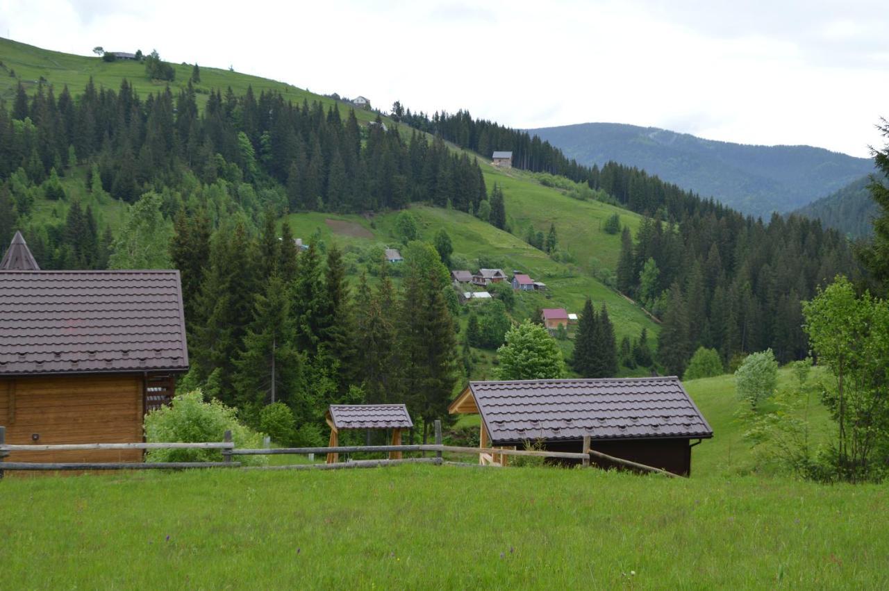 Пагорб Їжака / Hedgehog Hill Villa Jablunytsja Exteriör bild