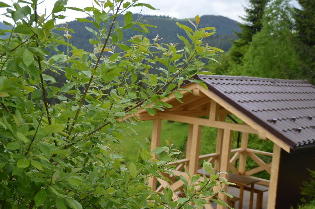 Пагорб Їжака / Hedgehog Hill Villa Jablunytsja Exteriör bild