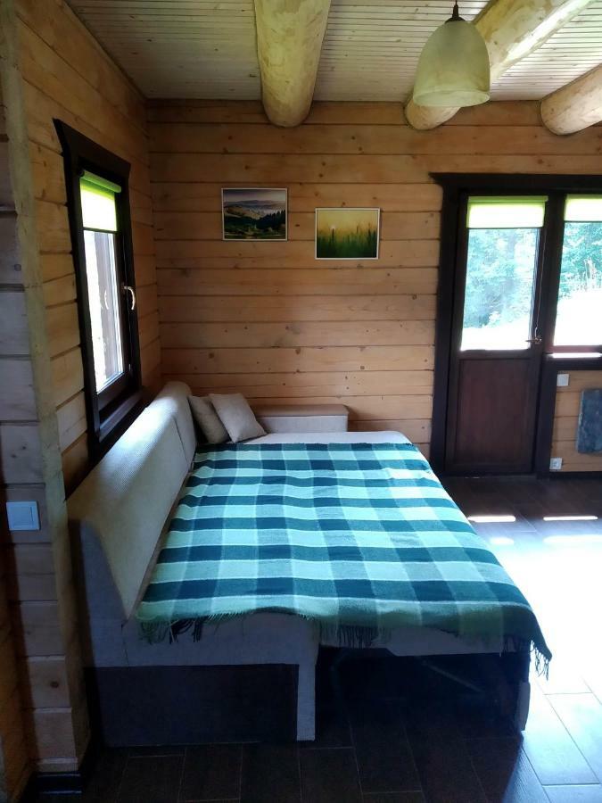 Пагорб Їжака / Hedgehog Hill Villa Jablunytsja Exteriör bild