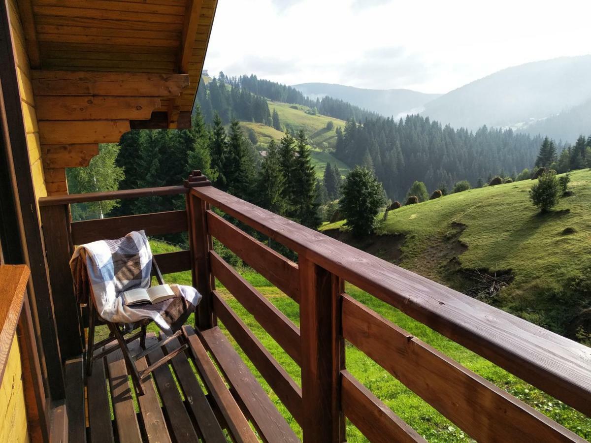 Пагорб Їжака / Hedgehog Hill Villa Jablunytsja Exteriör bild
