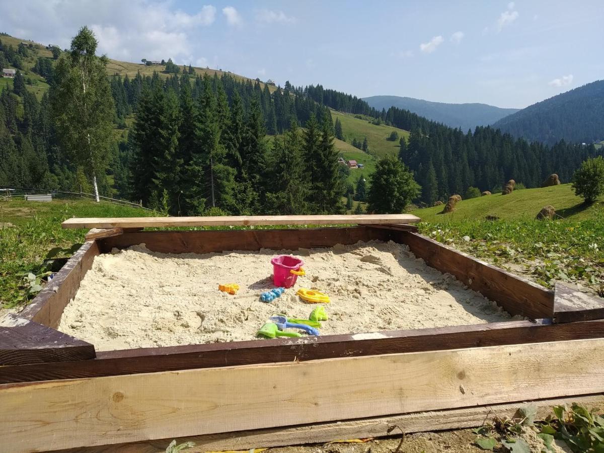Пагорб Їжака / Hedgehog Hill Villa Jablunytsja Exteriör bild